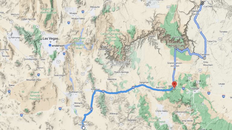 Tag 9: Bären in Arizona 
